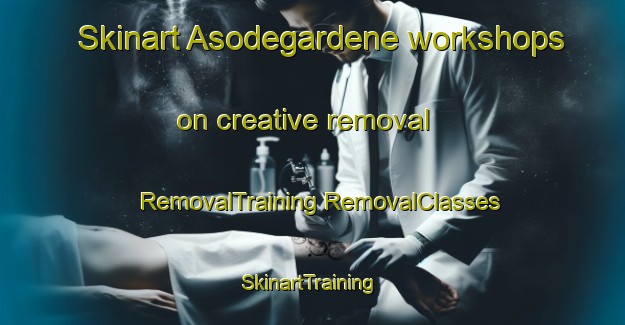 Skinart Asodegardene workshops on creative removal | #RemovalTraining #RemovalClasses #SkinartTraining-Norway