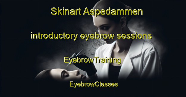 Skinart Aspedammen introductory eyebrow sessions | EyebrowTraining | EyebrowClasses | SkinartTraining-Norway