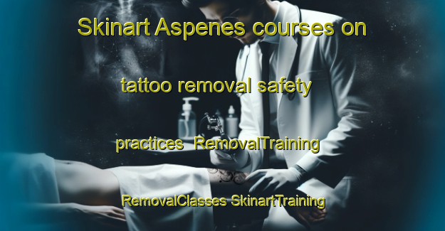 Skinart Aspenes courses on tattoo removal safety practices | #RemovalTraining #RemovalClasses #SkinartTraining-Norway