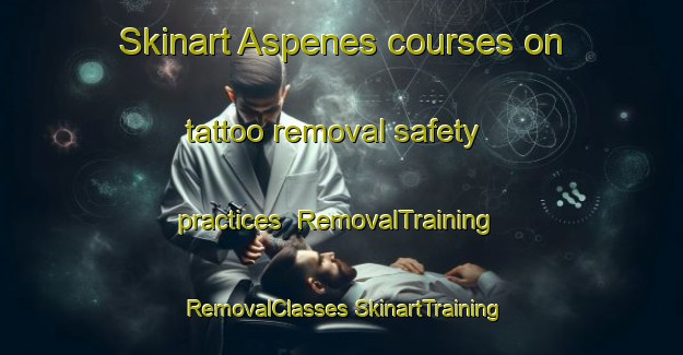 Skinart Aspenes courses on tattoo removal safety practices | #RemovalTraining #RemovalClasses #SkinartTraining-Norway