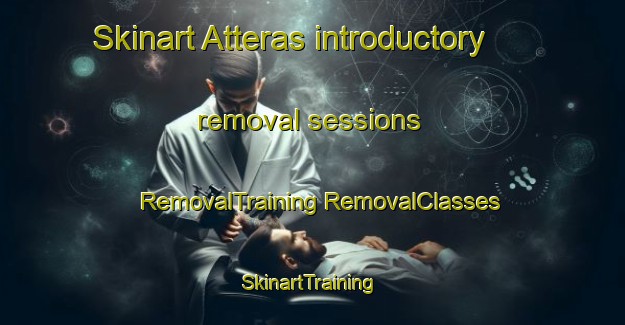 Skinart Atteras introductory removal sessions | #RemovalTraining #RemovalClasses #SkinartTraining-Norway