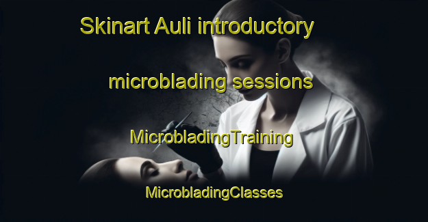 Skinart Auli introductory microblading sessions | #MicrobladingTraining #MicrobladingClasses #SkinartTraining-Norway