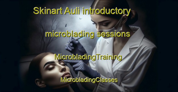 Skinart Auli introductory microblading sessions | #MicrobladingTraining #MicrobladingClasses #SkinartTraining-Norway