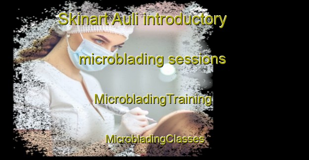 Skinart Auli introductory microblading sessions | #MicrobladingTraining #MicrobladingClasses #SkinartTraining-Norway