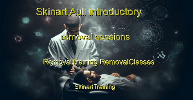 Skinart Auli introductory removal sessions | #RemovalTraining #RemovalClasses #SkinartTraining-Norway