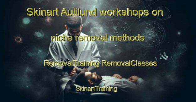 Skinart Aulilund workshops on niche removal methods | #RemovalTraining #RemovalClasses #SkinartTraining-Norway