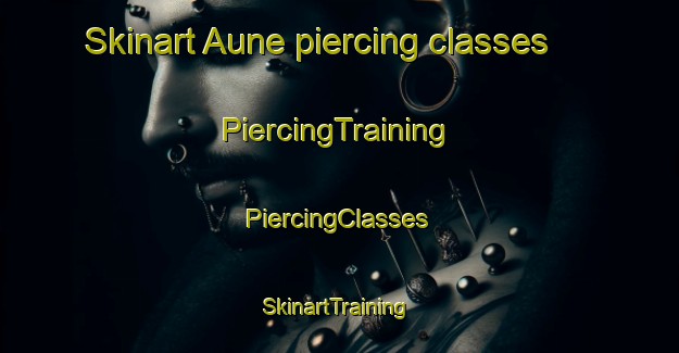 Skinart Aune piercing classes | #PiercingTraining #PiercingClasses #SkinartTraining-Norway