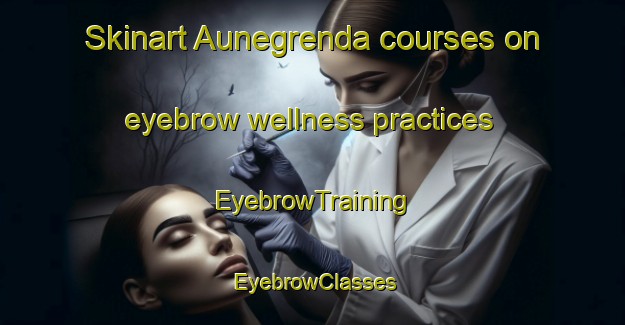 Skinart Aunegrenda courses on eyebrow wellness practices | EyebrowTraining | EyebrowClasses | SkinartTraining-Norway