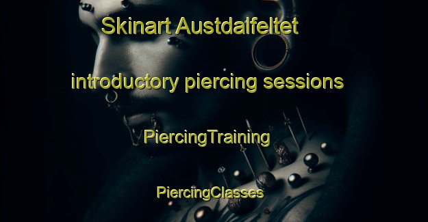 Skinart Austdalfeltet introductory piercing sessions | PiercingTraining | PiercingClasses | SkinartTraining-Norway