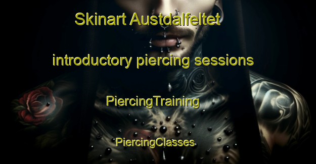 Skinart Austdalfeltet introductory piercing sessions | PiercingTraining | PiercingClasses | SkinartTraining-Norway