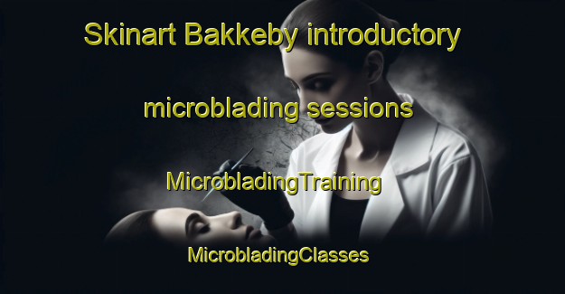 Skinart Bakkeby introductory microblading sessions | MicrobladingTraining | MicrobladingClasses | SkinartTraining-Norway