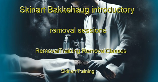 Skinart Bakkehaug introductory removal sessions | #RemovalTraining #RemovalClasses #SkinartTraining-Norway