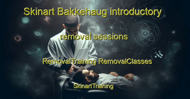 Skinart Bakkehaug introductory removal sessions | #RemovalTraining #RemovalClasses #SkinartTraining-Norway