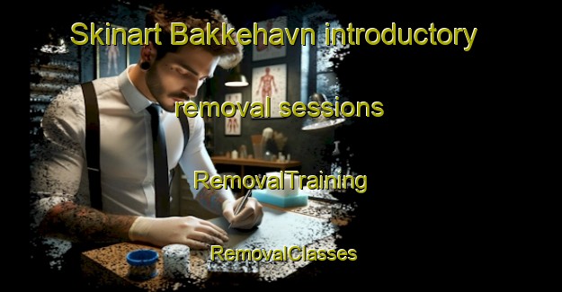Skinart Bakkehavn introductory removal sessions | RemovalTraining | RemovalClasses | SkinartTraining-Norway