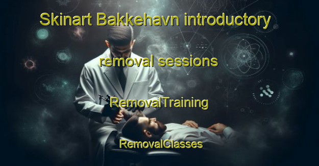 Skinart Bakkehavn introductory removal sessions | RemovalTraining | RemovalClasses | SkinartTraining-Norway
