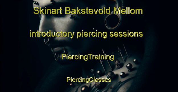 Skinart Bakstevold Mellom introductory piercing sessions | #PiercingTraining #PiercingClasses #SkinartTraining-Norway