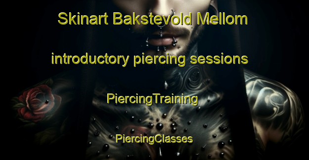 Skinart Bakstevold Mellom introductory piercing sessions | #PiercingTraining #PiercingClasses #SkinartTraining-Norway