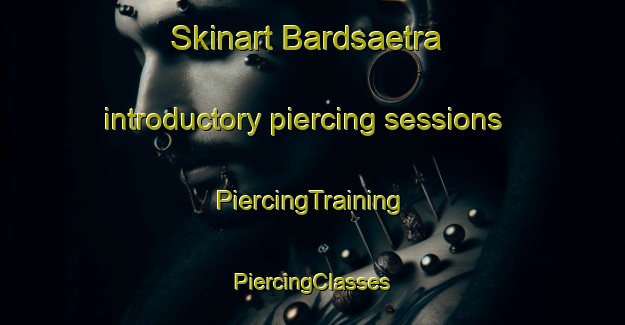 Skinart Bardsaetra introductory piercing sessions | #PiercingTraining #PiercingClasses #SkinartTraining-Norway