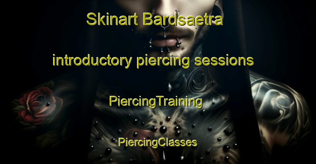 Skinart Bardsaetra introductory piercing sessions | #PiercingTraining #PiercingClasses #SkinartTraining-Norway