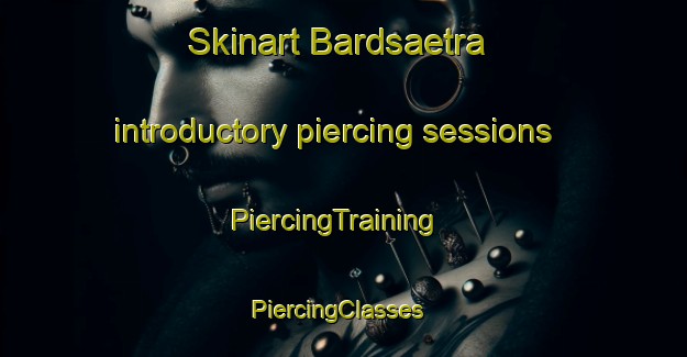 Skinart Bardsaetra introductory piercing sessions | PiercingTraining | PiercingClasses | SkinartTraining-Norway