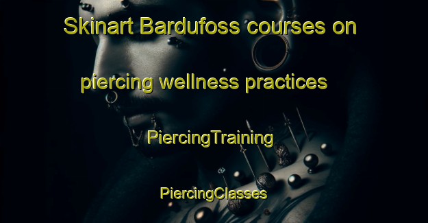 Skinart Bardufoss courses on piercing wellness practices | #PiercingTraining #PiercingClasses #SkinartTraining-Norway