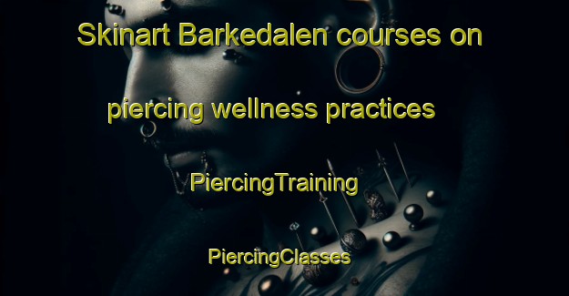 Skinart Barkedalen courses on piercing wellness practices | PiercingTraining | PiercingClasses | SkinartTraining-Norway
