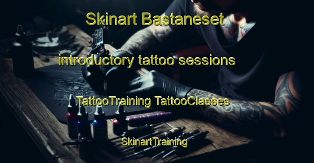 Skinart Bastaneset introductory tattoo sessions | #TattooTraining #TattooClasses #SkinartTraining-Norway