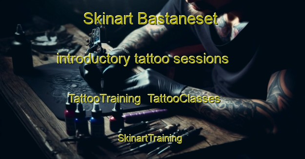 Skinart Bastaneset introductory tattoo sessions | TattooTraining | TattooClasses | SkinartTraining-Norway