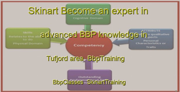 Skinart Become an expert in advanced BBP knowledge in Tufjord area | BbpTraining | BbpClasses | SkinartTraining-Norway