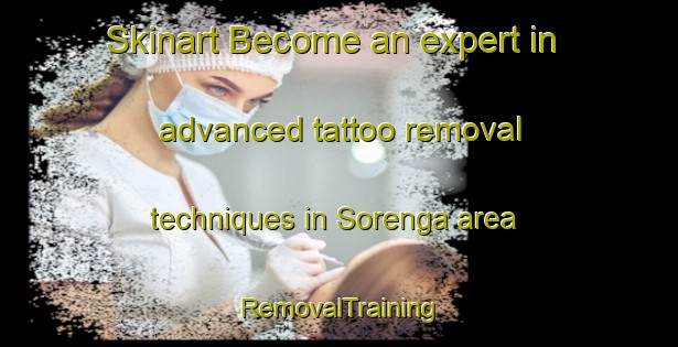 Skinart Become an expert in advanced tattoo removal techniques in Sorenga area | RemovalTraining | RemovalClasses | SkinartTraining-Norway