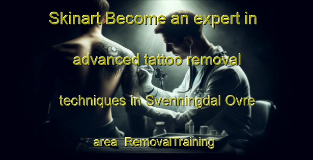Skinart Become an expert in advanced tattoo removal techniques in Svenningdal Ovre area | RemovalTraining | RemovalClasses | SkinartTraining-Norway