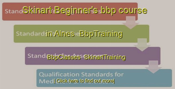 Skinart Beginner's bbp course in Alnes | BbpTraining | BbpClasses | SkinartTraining-Norway