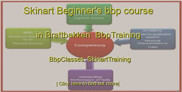 Skinart Beginner's bbp course in Brattbakken | BbpTraining | BbpClasses | SkinartTraining-Norway