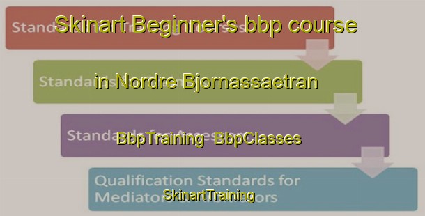 Skinart Beginner's bbp course in Nordre Bjornassaetran | BbpTraining | BbpClasses | SkinartTraining-Norway