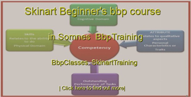 Skinart Beginner's bbp course in Somnes | BbpTraining | BbpClasses | SkinartTraining-Norway