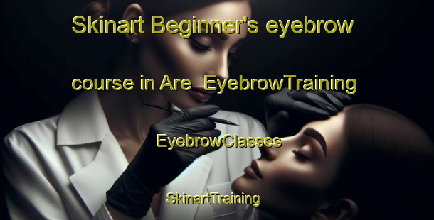 Skinart Beginner's eyebrow course in Are | EyebrowTraining | EyebrowClasses | SkinartTraining-Norway