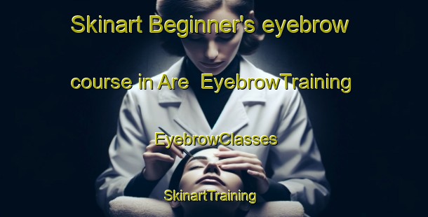 Skinart Beginner's eyebrow course in Are | EyebrowTraining | EyebrowClasses | SkinartTraining-Norway