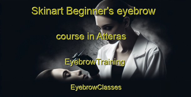 Skinart Beginner's eyebrow course in Atteras | EyebrowTraining | EyebrowClasses | SkinartTraining-Norway