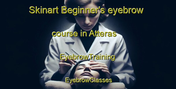 Skinart Beginner's eyebrow course in Atteras | EyebrowTraining | EyebrowClasses | SkinartTraining-Norway