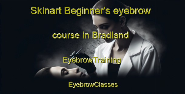 Skinart Beginner's eyebrow course in Bradland | EyebrowTraining | EyebrowClasses | SkinartTraining-Norway