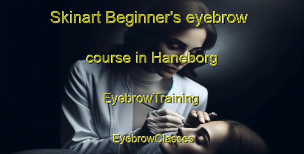 Skinart Beginner's eyebrow course in Haneborg | EyebrowTraining | EyebrowClasses | SkinartTraining-Norway