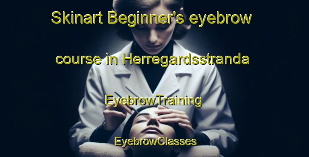 Skinart Beginner's eyebrow course in Herregardsstranda | EyebrowTraining | EyebrowClasses | SkinartTraining-Norway