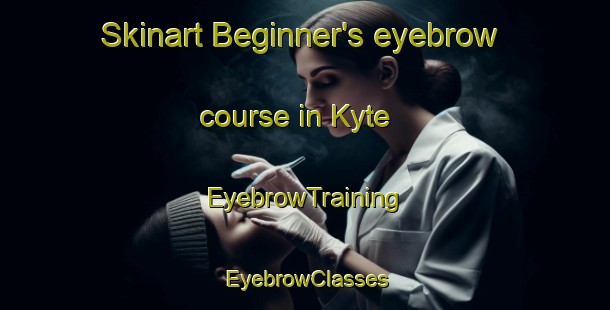 Skinart Beginner's eyebrow course in Kyte | EyebrowTraining | EyebrowClasses | SkinartTraining-Norway