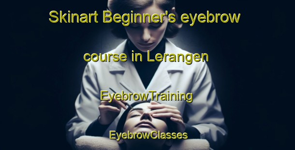 Skinart Beginner's eyebrow course in Lerangen | EyebrowTraining | EyebrowClasses | SkinartTraining-Norway