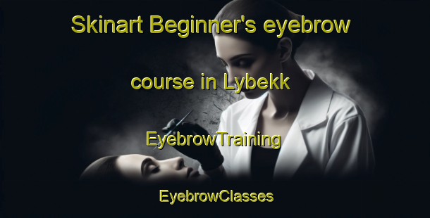 Skinart Beginner's eyebrow course in Lybekk | EyebrowTraining | EyebrowClasses | SkinartTraining-Norway