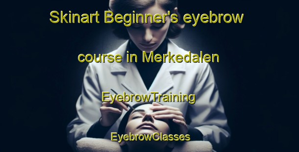 Skinart Beginner's eyebrow course in Merkedalen | EyebrowTraining | EyebrowClasses | SkinartTraining-Norway