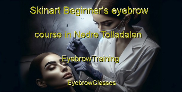 Skinart Beginner's eyebrow course in Nedre Tolladalen | EyebrowTraining | EyebrowClasses | SkinartTraining-Norway