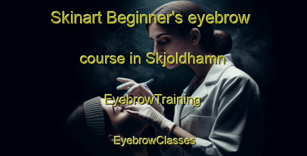 Skinart Beginner's eyebrow course in Skjoldhamn | EyebrowTraining | EyebrowClasses | SkinartTraining-Norway