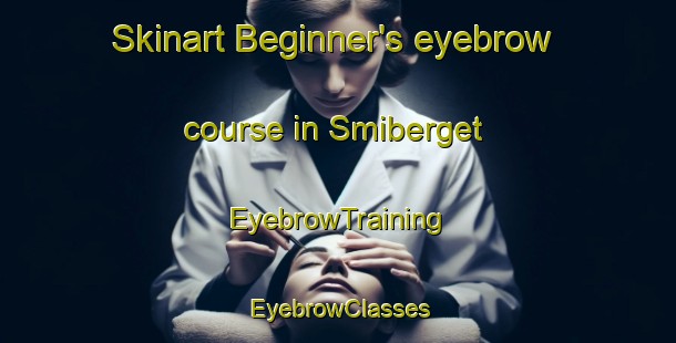 Skinart Beginner's eyebrow course in Smiberget | EyebrowTraining | EyebrowClasses | SkinartTraining-Norway