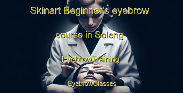 Skinart Beginner's eyebrow course in Soleng | EyebrowTraining | EyebrowClasses | SkinartTraining-Norway